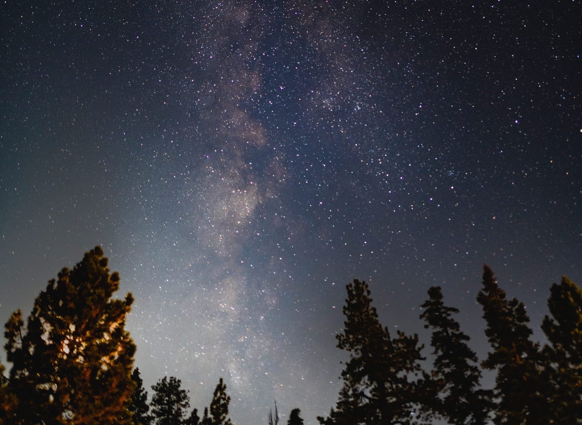 The Life Photographic